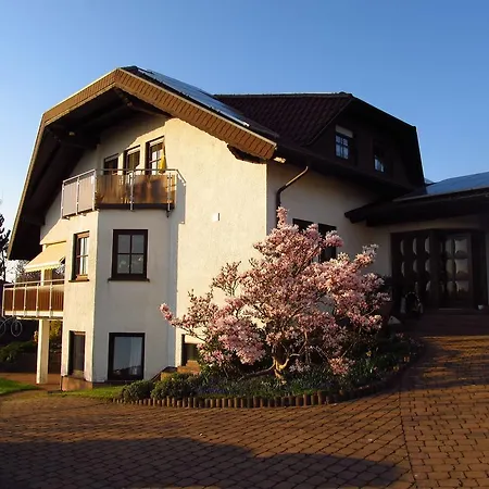Schmidt`s Eppelborner Ferienwohnung Zimmer foto